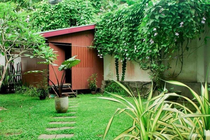 Amazing Villa Matara Dış mekan fotoğraf